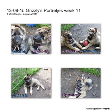 Grizzly's portretjes week 11